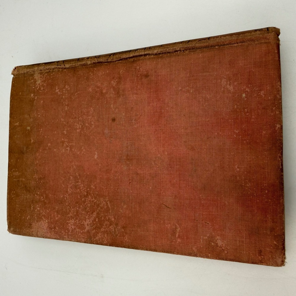 Antique 1913 Our National Calamity Fire Flood Tornado Book Logan Marshall First - Picture 6 of 9